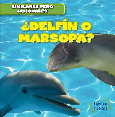 Cover for Rob Ryndak · Delfin O Marsopa? (Dolphin or Porpoise?) (Hardcover Book) (2015)