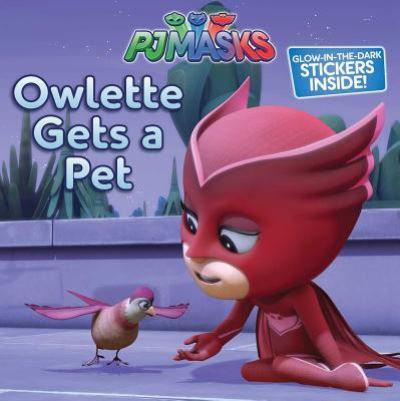 Cover for Maggie Testa · Owlette Gets a Pet (Paperback Book) (2017)