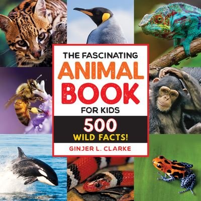 Cover for Ginjer Clarke · The Fascinating Animal Book for Kids : 500 Wild Facts! (Pocketbok) (2020)