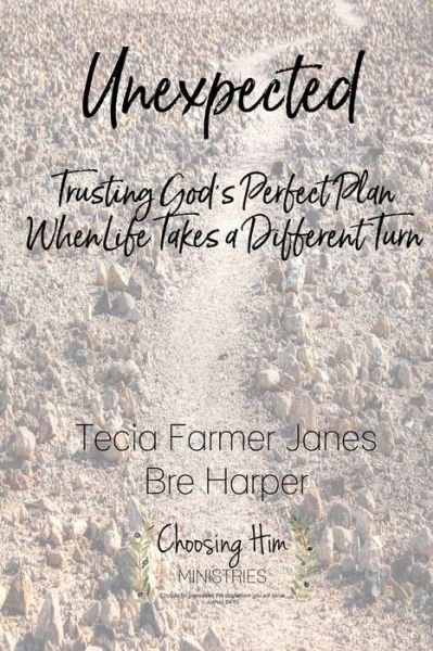 Cover for Bre Harper · Unexpected (Paperback Book) (2019)