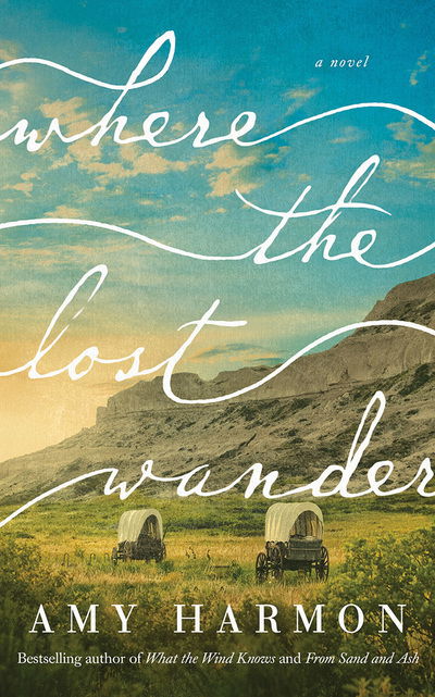 Where the Lost Wander - Amy Harmon - Music - Brilliance Corporation - 9781799738497 - April 28, 2020