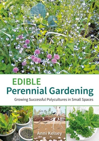 Cover for Anni Kelsey · Edible Perennial Gardening: Growing Successful Polycultures in Small Spaces (Paperback Bog) (2014)