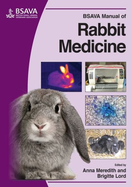 Cover for A Meredith · BSAVA Manual of Rabbit Medicine - BSAVA British Small Animal Veterinary Association (Pocketbok) (2014)