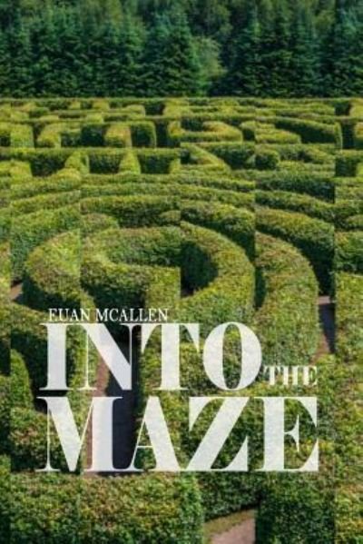 Cover for Euan McAllen · Into the Maze (Paperback Book) (2017)