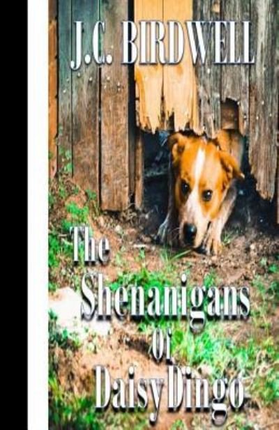 Cover for J C Birdwell · The Shenanigans of Daisy Dingo (Paperback Book) (2017)