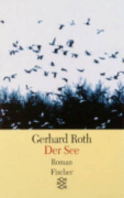 Cover for Gerhard Roth · Der See (Book)