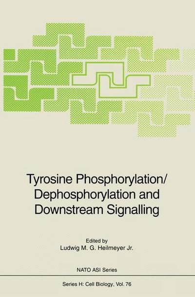 Cover for Ludwig M G Jr Heilmeyer · Tyrosine Phosphorylation / Dephosphorylation and Downstream Signalling - Nato ASI Subseries H: (Paperback Bog) [Softcover reprint of the original 1st ed. 1993 edition] (2011)