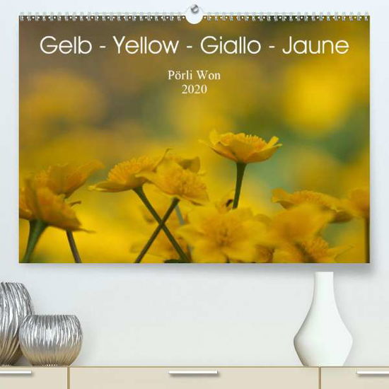 Cover for Won · Gelb - Yellow - Giallo - Jaune (Pre (Book)