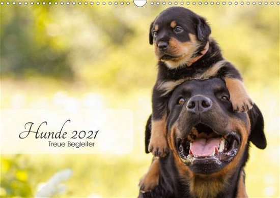 Cover for Pohle · Hunde 2021 - Treue Begleiter (Wan (Bog)