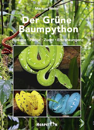 Cover for Markus Weier · Der Grüne Baumpython (Hardcover Book) (2021)