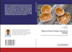 Cover for Ray · Mycorrhizal Helper Bacteria (MHB) (Bog)