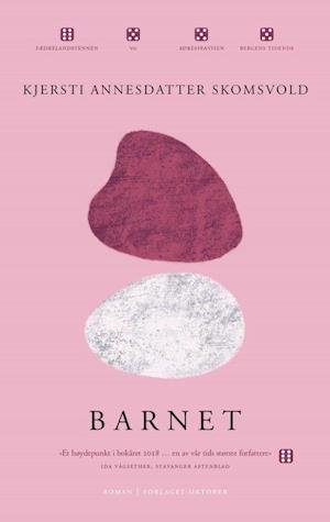 Cover for Kjersti Annesdatter Skomsvold · Barnet : roman (Paperback Bog) (2019)