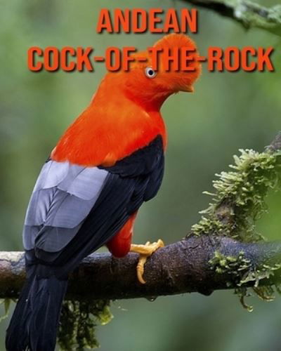 Cover for Kayla Miller · Andean Cock-of-The-Rock (Pocketbok) (2020)