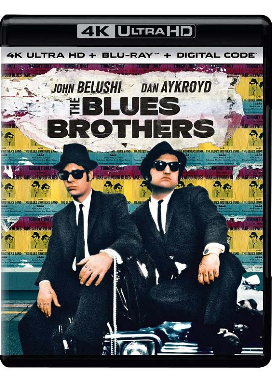 Cover for Blues Brothers (4K UHD Blu-ray) (2020)
