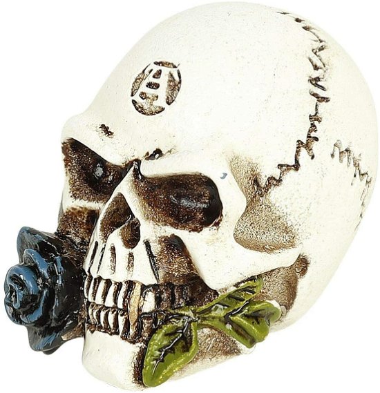 Alchemy: Alchemist Skull Collectible Miniature - Alchemy - Merchandise -  - 0664427051498 - 