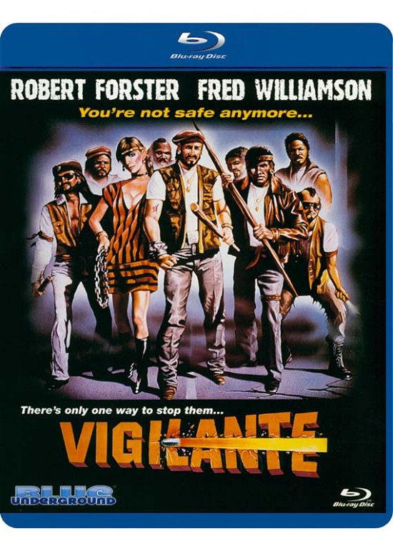 Cover for Vigilante (Blu-ray) (2010)