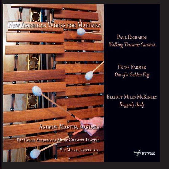 Cover for Andrew Martin · New American Works for Marimba (CD) (2010)