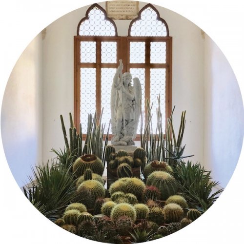 Cover for Rubini · San Pedro (LP) (2019)