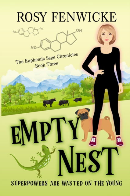 Cover for Rosy Fenwicke · Empty Nest (Paperback Book) (2022)