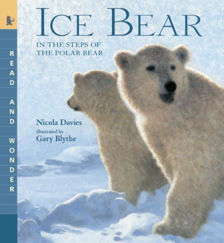 Ice Bear: Read and Wonder: in the Steps of the Polar Bear - Nicola Davies - Books - Candlewick - 9780763641498 - September 23, 2008