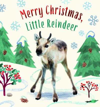 Cover for Amanda Wood · Merry Christmas, Little Reindeer (Book) (2023)