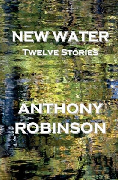 Cover for Anthony Robinson · New Water: Twelve Stories (Paperback Bog) (2013)