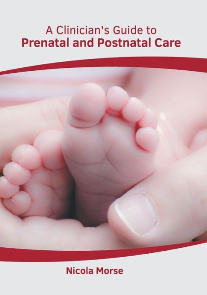 Cover for Nicola Morse · A Clinician's Guide to Prenatal and Postnatal Care (Gebundenes Buch) (2022)