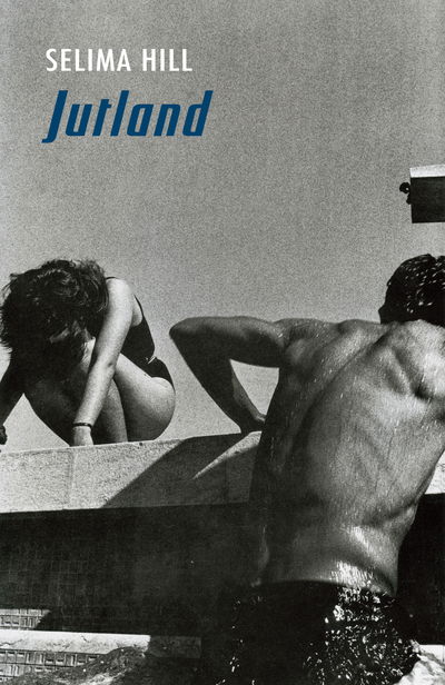 Cover for Selima Hill · Jutland (Paperback Book) (2015)