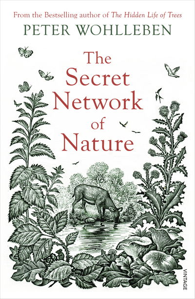 Cover for Peter Wohlleben · The Secret Network of Nature: The Delicate Balance of All Living Things (Paperback Book) (2019)