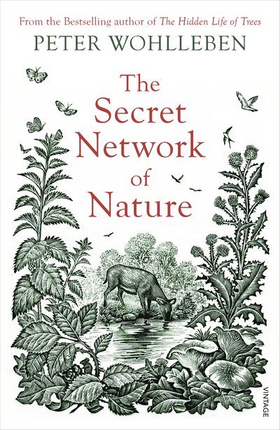 Cover for Peter Wohlleben · The Secret Network of Nature: The Delicate Balance of All Living Things (Paperback Bog) (2019)