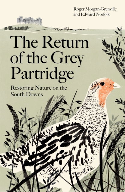 Cover for Roger Morgan-Grenville · The Return of the Grey Partridge: Restoring Nature on the South Downs (Paperback Book) [Main edition] (2025)