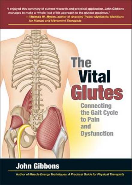 The Vital Glutes: Connecting the Gait Cycle to Pain and Dysfunction - John Gibbons - Livros - Otter Consulting Limited - 9781905367498 - 30 de julho de 2014