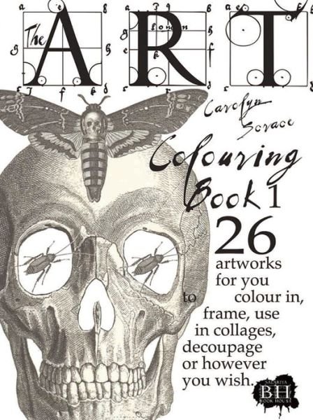 Cover for Carolyn Scrace · The Art Colouring Book - the Art Colouring Book (Taschenbuch) (2014)