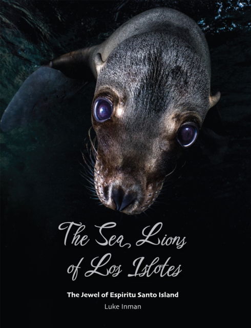 Cover for Luke Inman · The Sea Lions of Los Islotes: The Jewel of Espiritu Santo Island (Paperback Book) (2022)