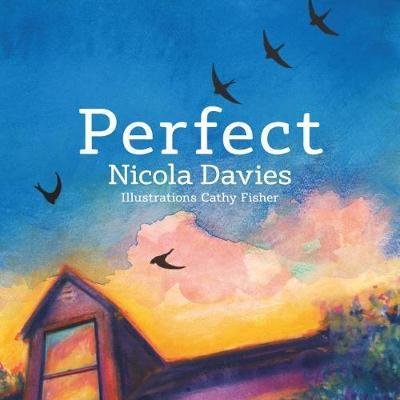 Cover for Nicola Davies · Perfect (Paperback Bog) (2018)