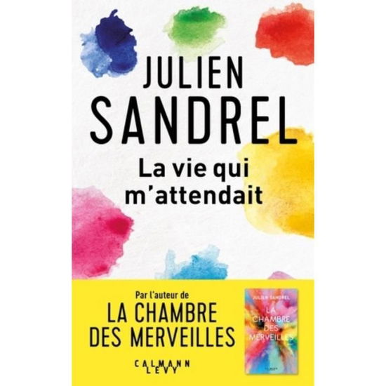 La vie qui m'attendait - Julien Sandrel - Books - Hachette - 9782702163498 - March 6, 2019