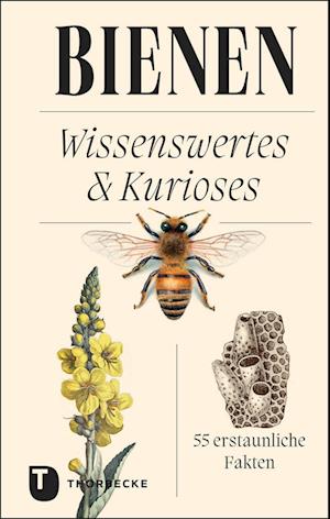 Cover for Thorbecke Jan Verlag · Bienen (Inbunden Bok) (2022)