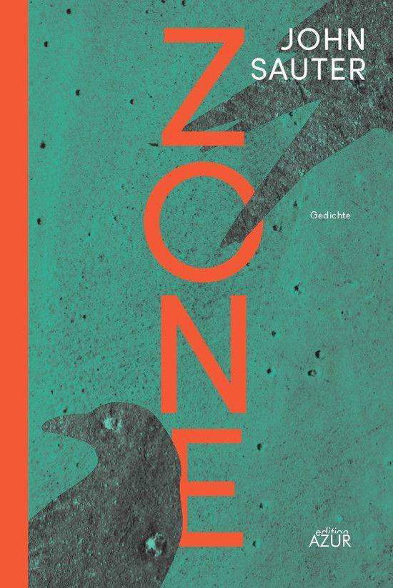 Cover for Sauter · Zone (Book)