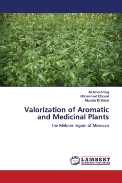 Cover for Amechrouq · Valorization of Aromatic and (Book) (2019)