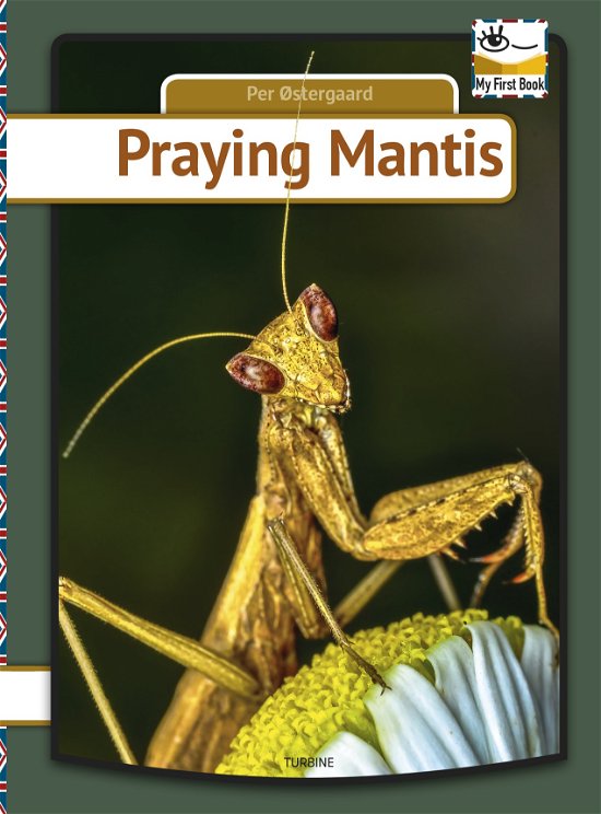 Cover for Per Østergaard · My first book: Praying mantis (Innbunden bok) [1. utgave] (2020)