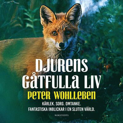 Djurens gåtfulla liv - Kärlek. Sorg. Omtanke : fantastiska inblickar i en sluten värld - Peter Wohlleben - Lydbok - Norstedts - 9789113102498 - 25. oktober 2019