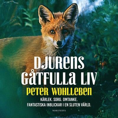 Cover for Peter Wohlleben · Djurens gåtfulla liv - Kärlek. Sorg. Omtanke : fantastiska inblickar i en sluten värld (Hörbuch (MP3)) (2019)