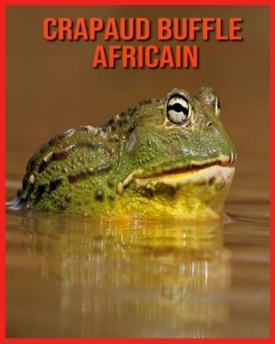 Cover for Annie Nichols · Crapaud Buffle Africain (Paperback Book) (2021)