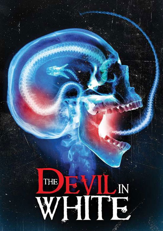 Feature Film · Devil In White (DVD) (2017)