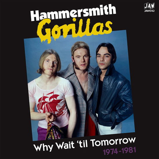 Cover for Hammersmith Gorillas · Why Wait Until Tomorrow 1974-1981 (LP) (2020)