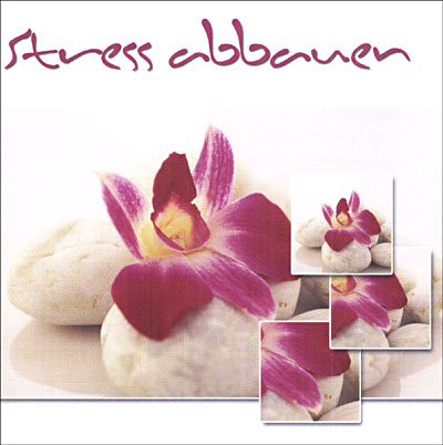 Cover for Stress Abauen · Stress Abauen - (CD)