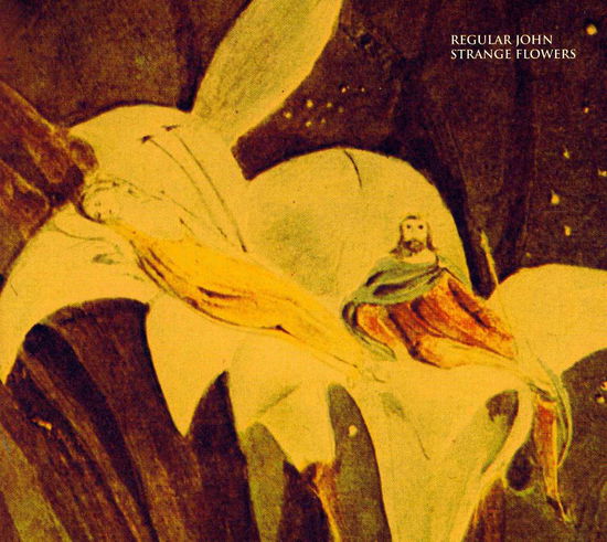 Cover for Regular John · Strange Flowers (CD) (2012)