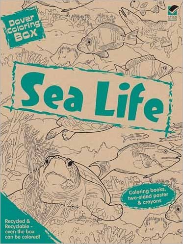 Cover for Dover Dover · Dover Coloring Box -- Sea Life - Dover Fun Kits (MERCH) (2011)
