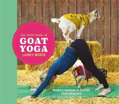 Cover for Lainey Morse · The Little Book of Goat Yoga: Find Your Farmyard Flow (Hardcover Book) (2018)