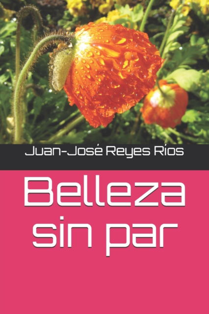 Cover for Juan-Jose Reyes Rios · Belleza sin par (Paperback Book) (2017)